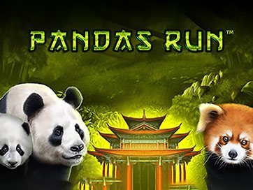 Pandas Run